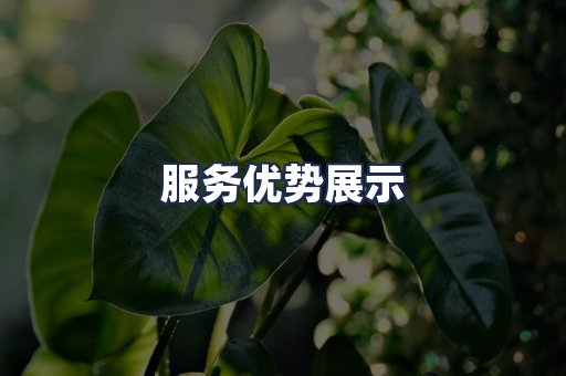 服务优势展示