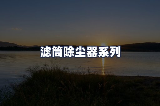 滤筒除尘器系列